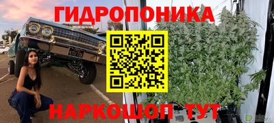 эйфоретик Малгобек